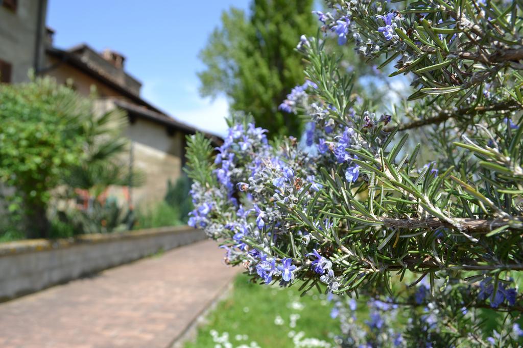 Agriturismo Nestore Exteriör bild