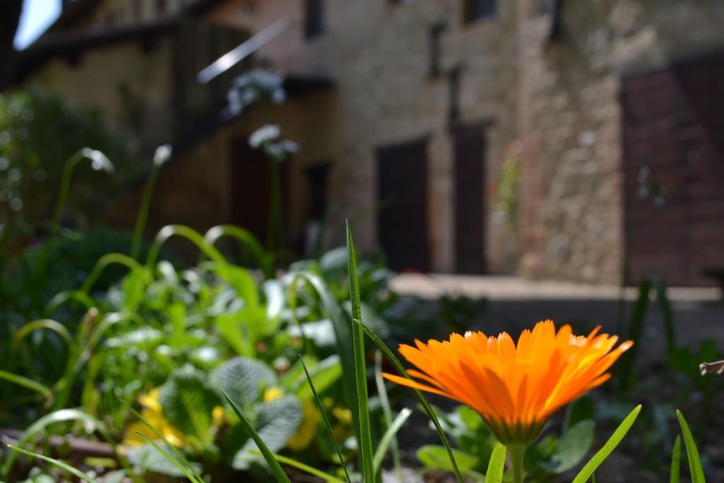 Agriturismo Nestore Exteriör bild