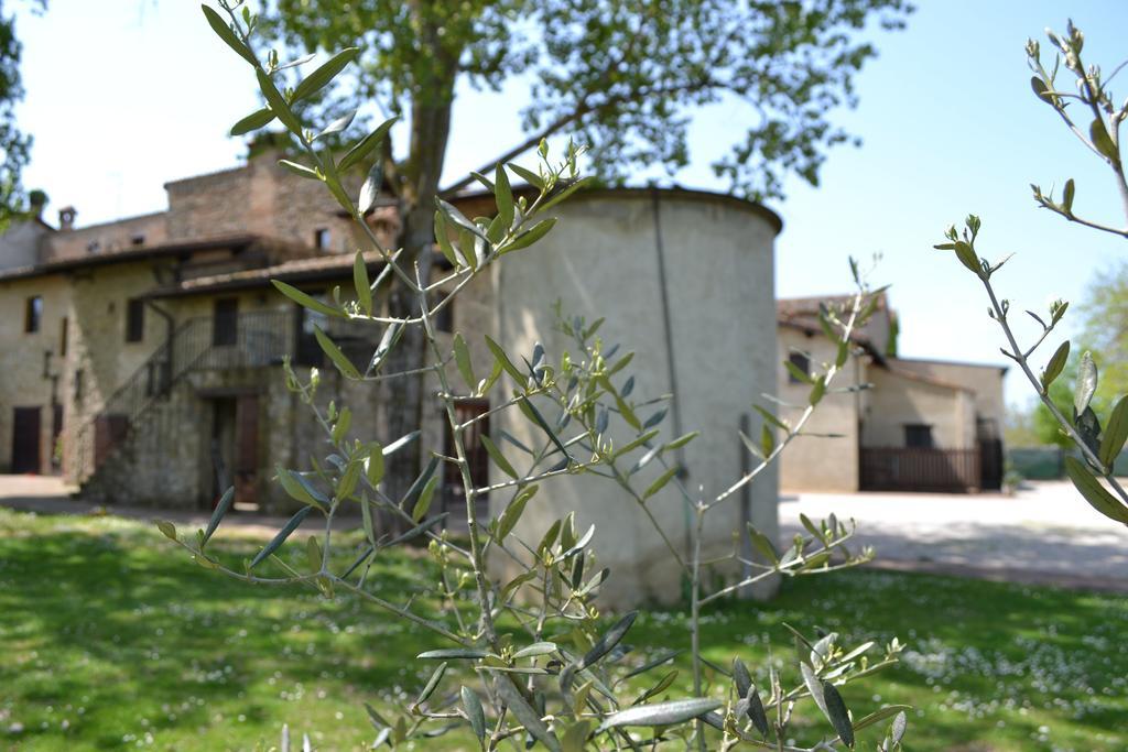 Agriturismo Nestore Exteriör bild