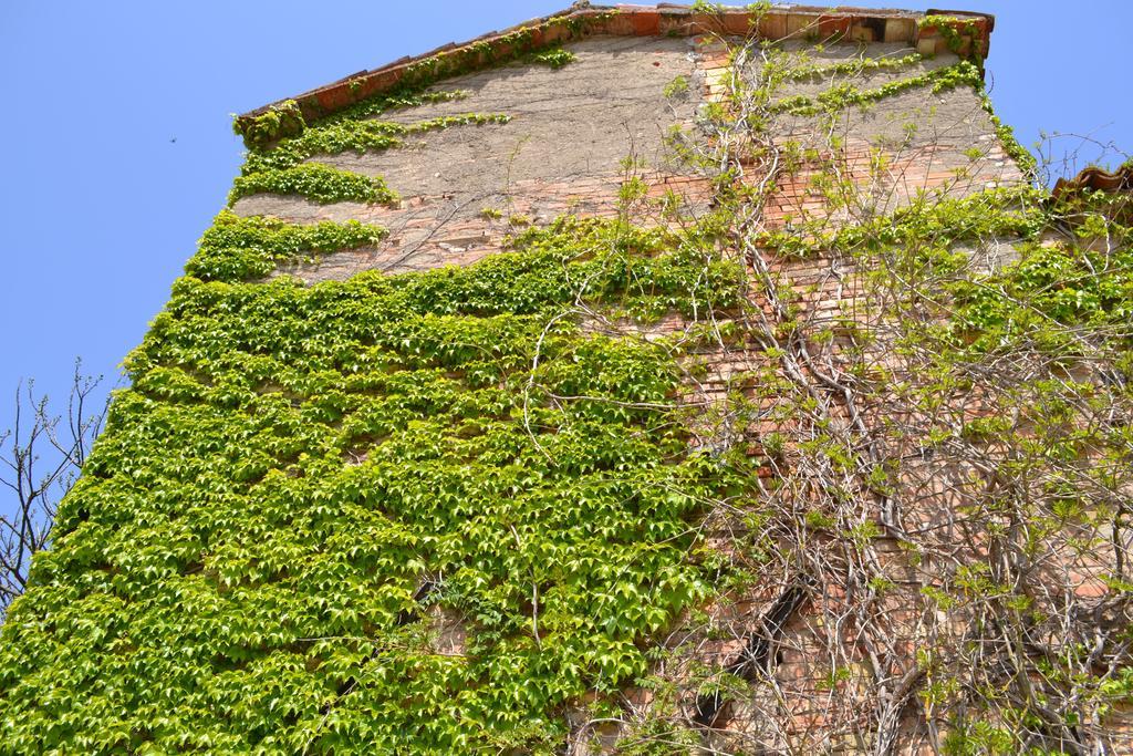 Agriturismo Nestore Exteriör bild